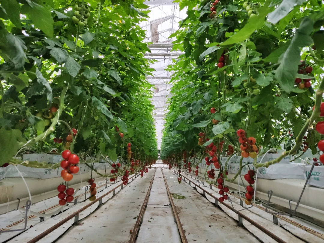 1640056241179248.png 1640056241179248.png