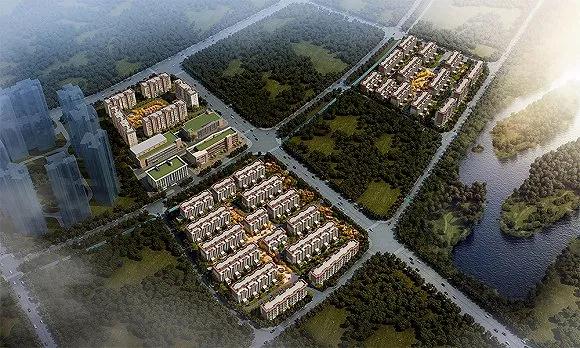 1644818002898085.jpg 1644818002898085.jpg