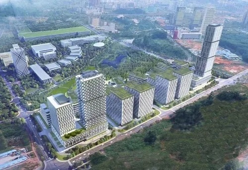 1668048597201773.jpg 2.jpg